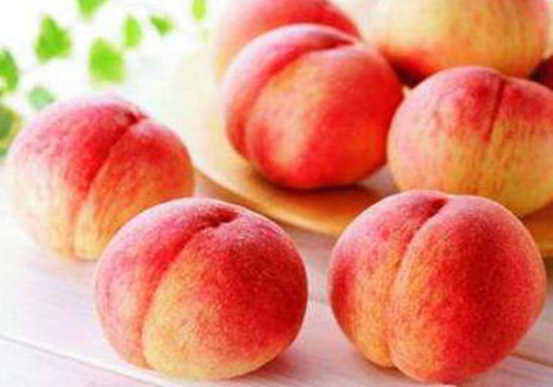 三年的桃树如何嫁接换其它品种,盆栽桃树如何修剪才能快速结桃