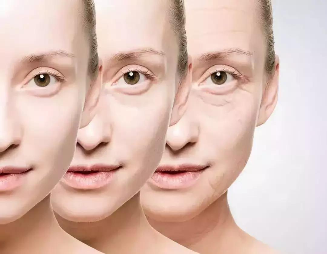 城野医生377精华反黑,城野医生精华合集测评