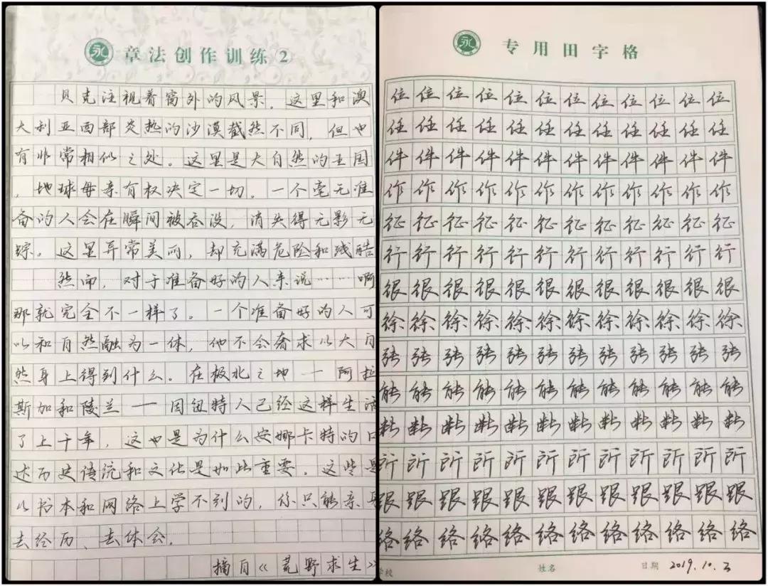 一句口诀学会十个基础笔顺技巧,大永练字和国锋练字的区别