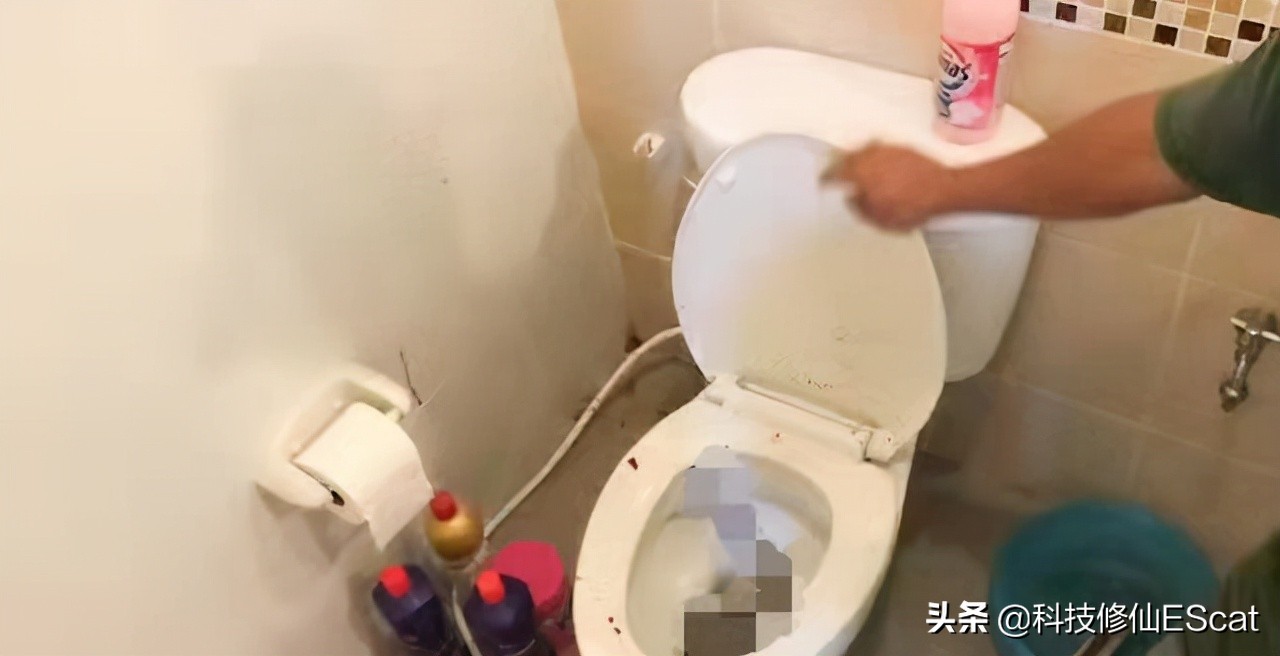 两条毒蛇互相咬会怎么样,两条毒蛇互相咬会毒死吗