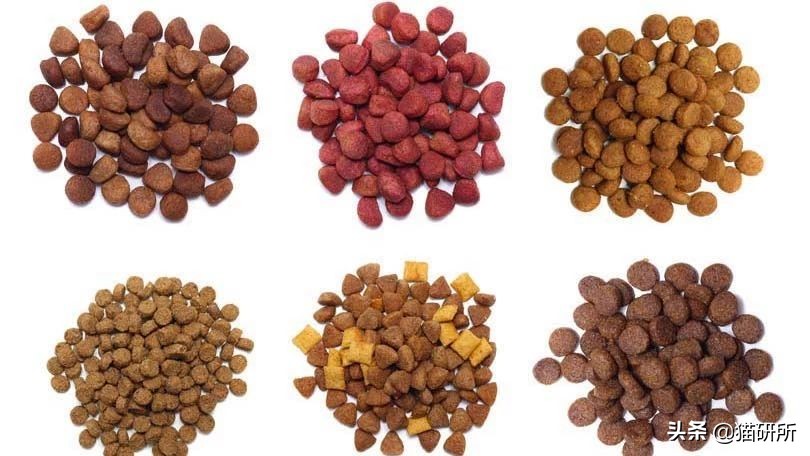 两个月的猫咪吃泡粮好还是干粮,猫咪喂粮应该都喂些什么