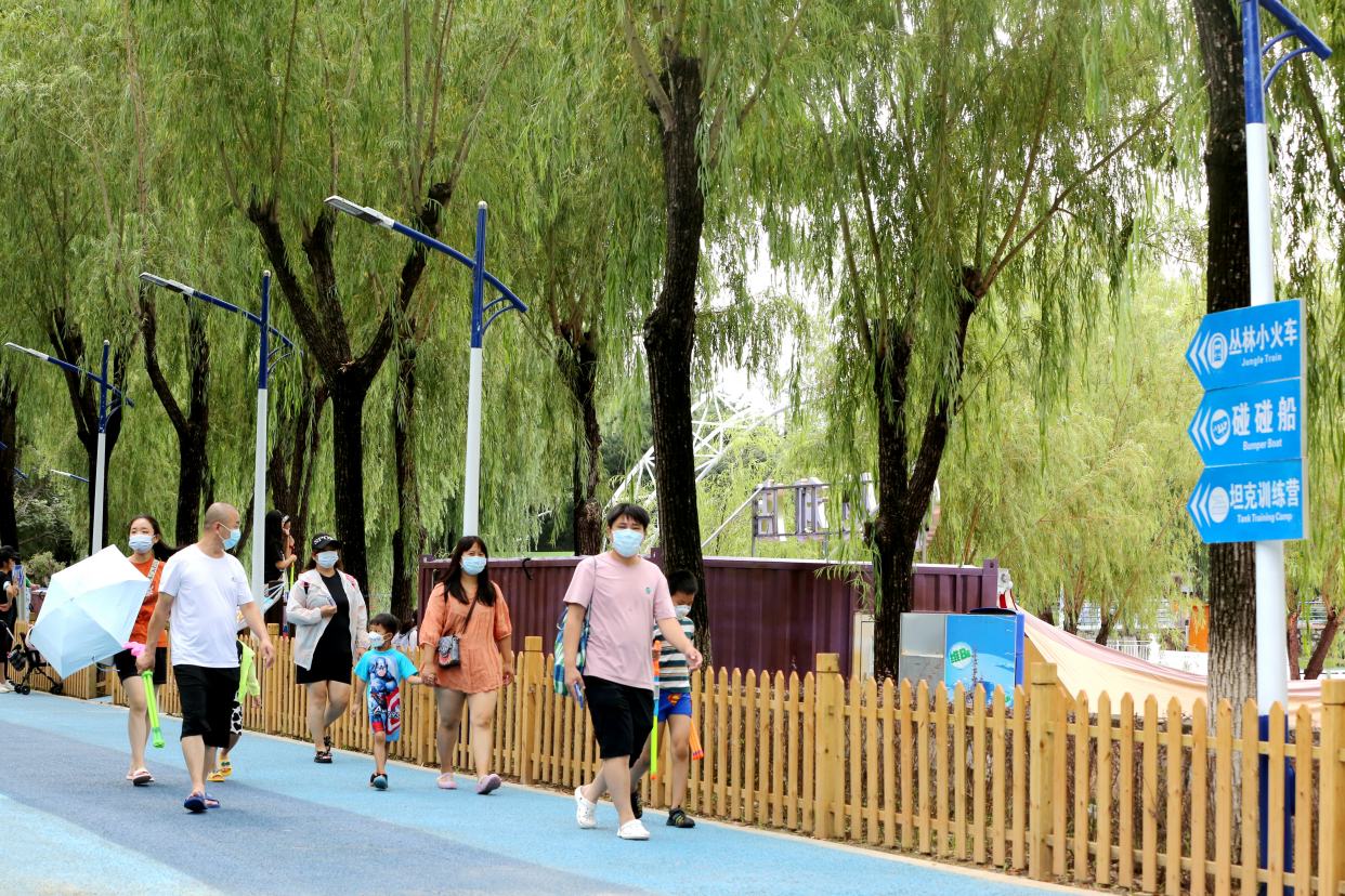 青龙湖湿地公园网红打卡,成都青龙湖公园攻略