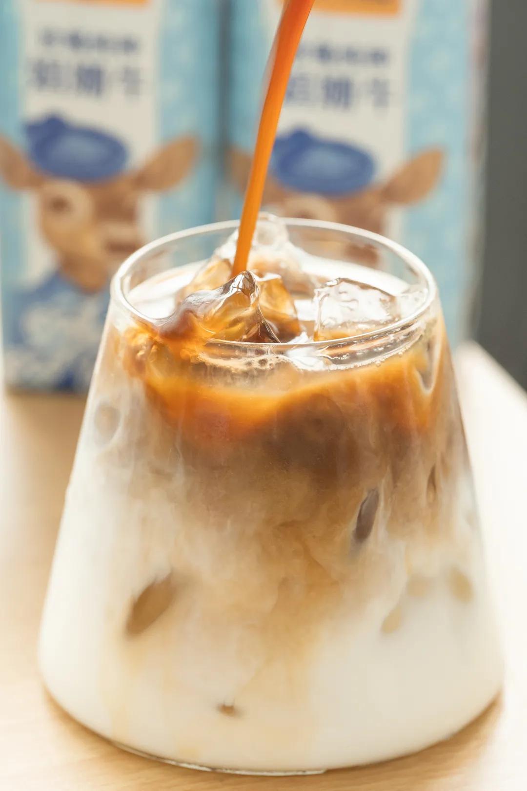 千万网红推荐的牛奶真的好喝吗,网红最好喝的纯牛奶