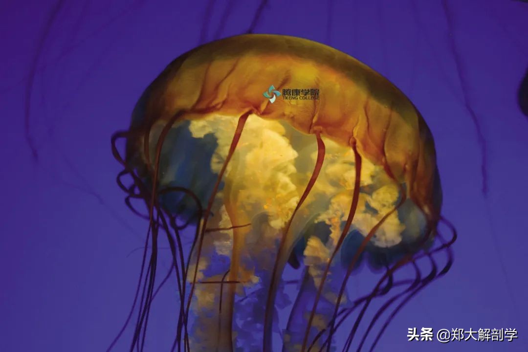 造成呼吸困难的正确的处理措施,导致呼吸困难原因有哪些