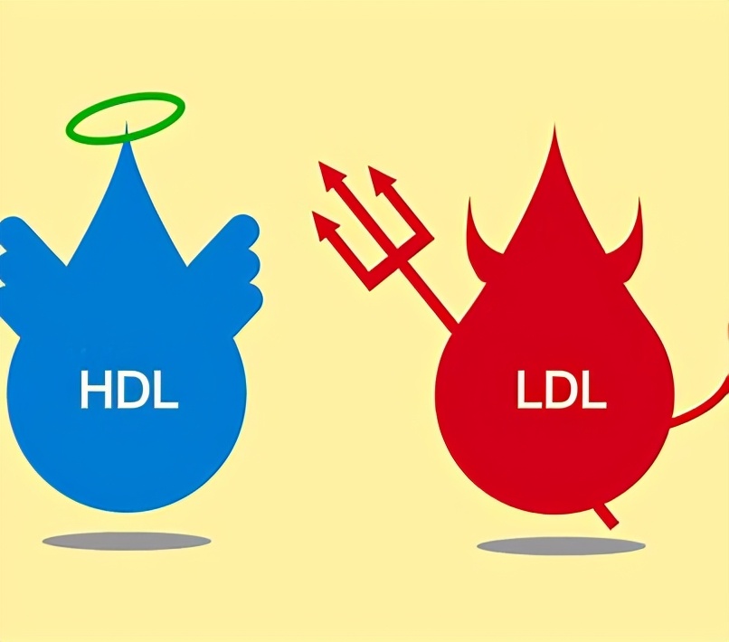胆固醇要查什么才可以知道,胆固醇有一点点偏高医生没有开药