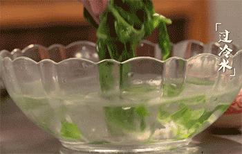 “椿暖花开”来晋城泽州这个村子让你“香椿自由”！