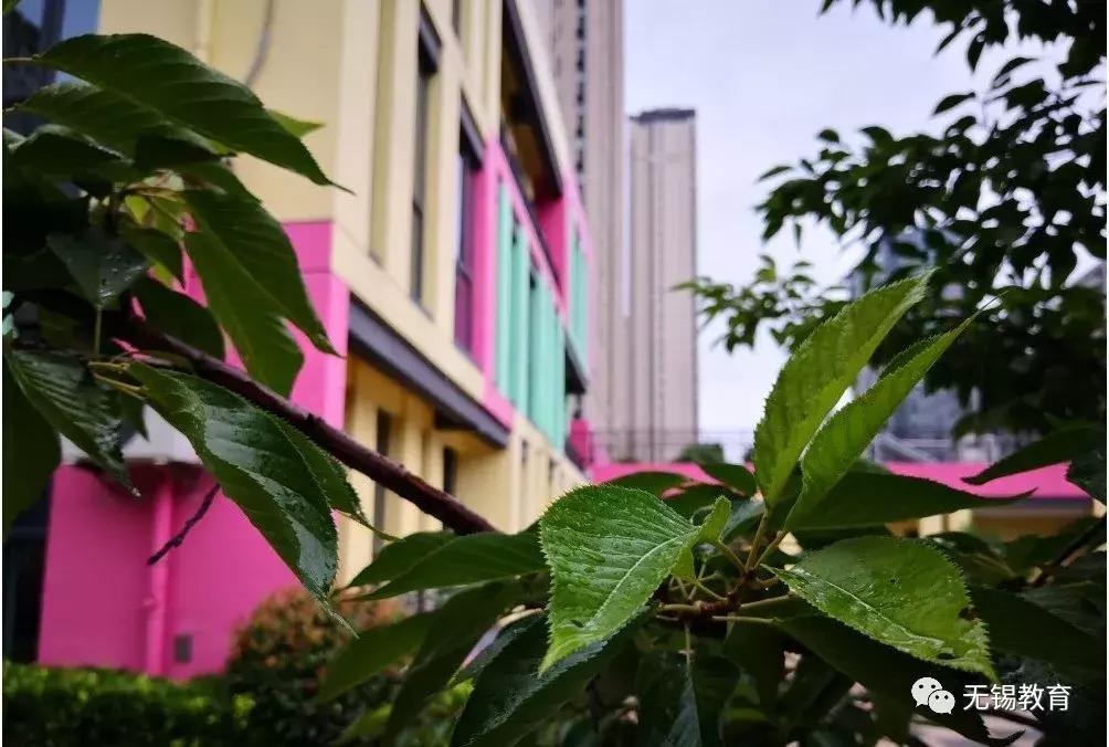 无锡即将筹建的学校,无锡新增大学