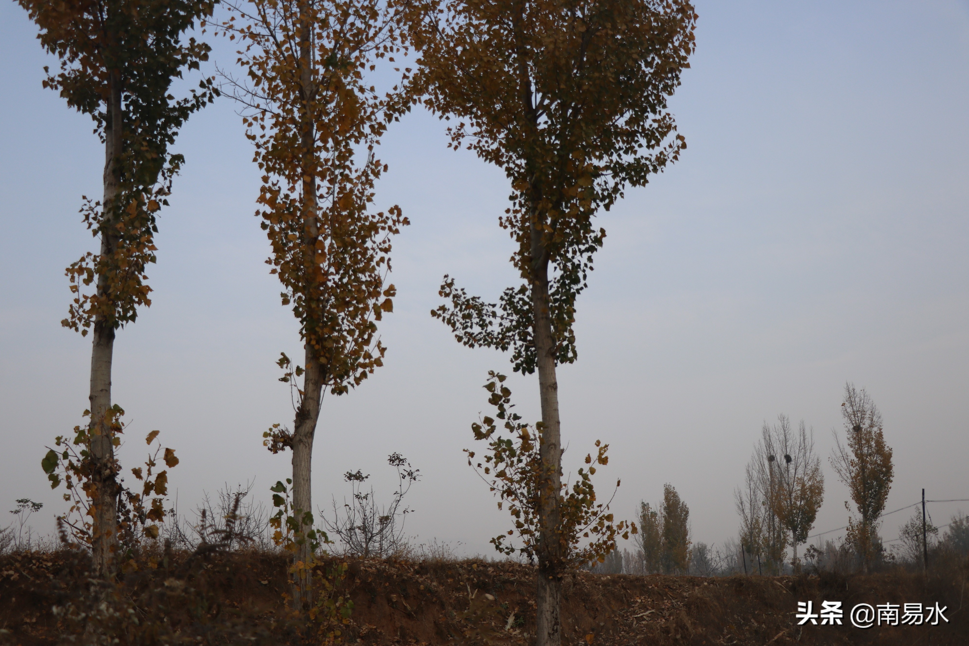 家乡风景带你一起感受自然的味道,令你难以忘怀的家乡的味道