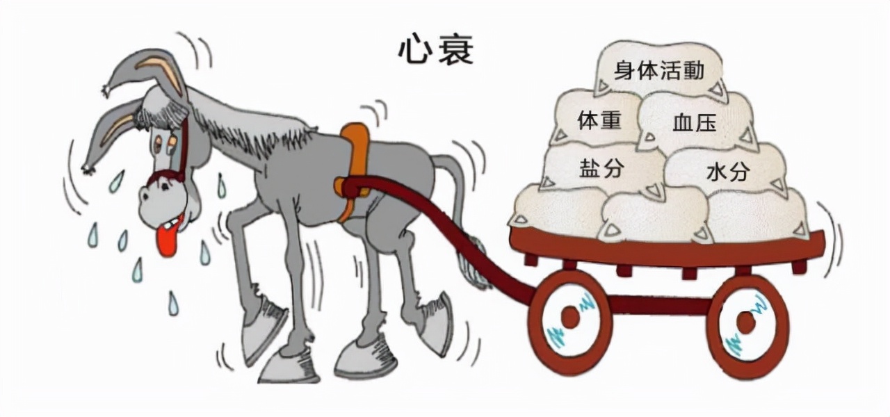 心衰金三角药用法用量,金三角心衰药