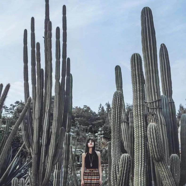 厦门抖音里的打卡地,厦门抖音推荐好地方