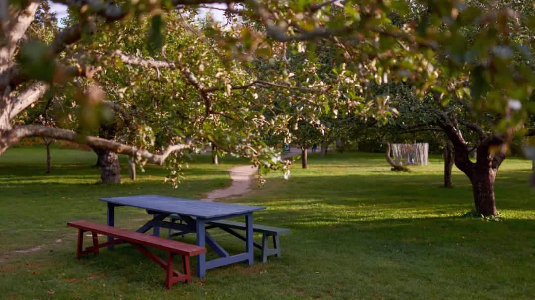 性冷淡家居装修,性冷淡的风格装修软装