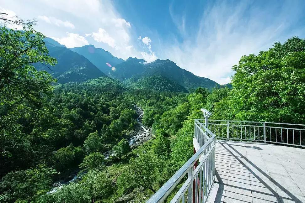 成都自驾百里杜鹃旅游攻略,万亩杜鹃花在青山幽谷