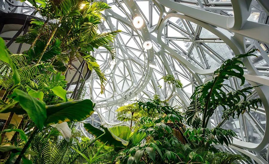 深圳市有梦想城市,深圳有梦想的城市