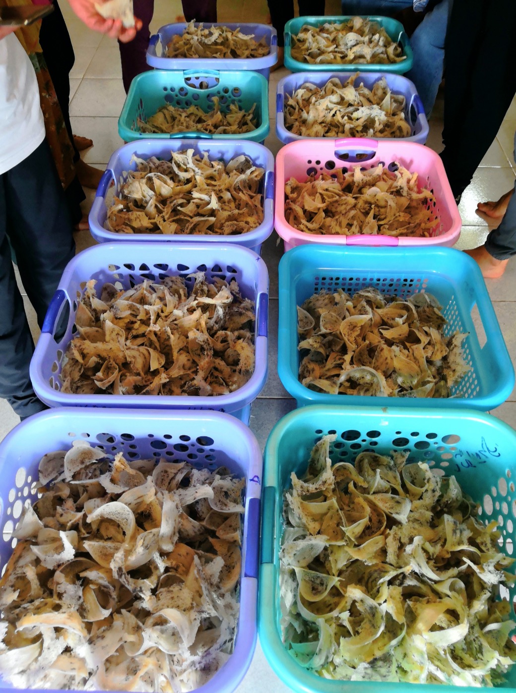 老婆怀孕了我在外地没人照顾,老婆怀孕我去外地出差