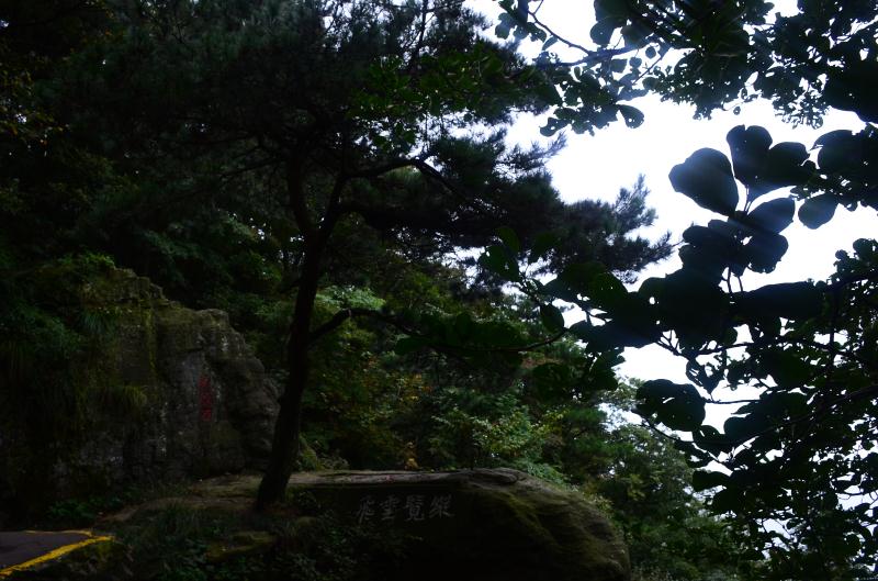 庐山牯岭镇印象,庐山意境风景