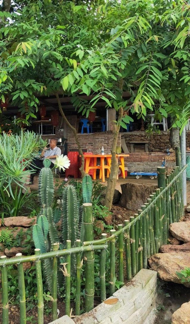 文蕴秀岭，馨怡乐园｜廉江文秀岭农牧场散记