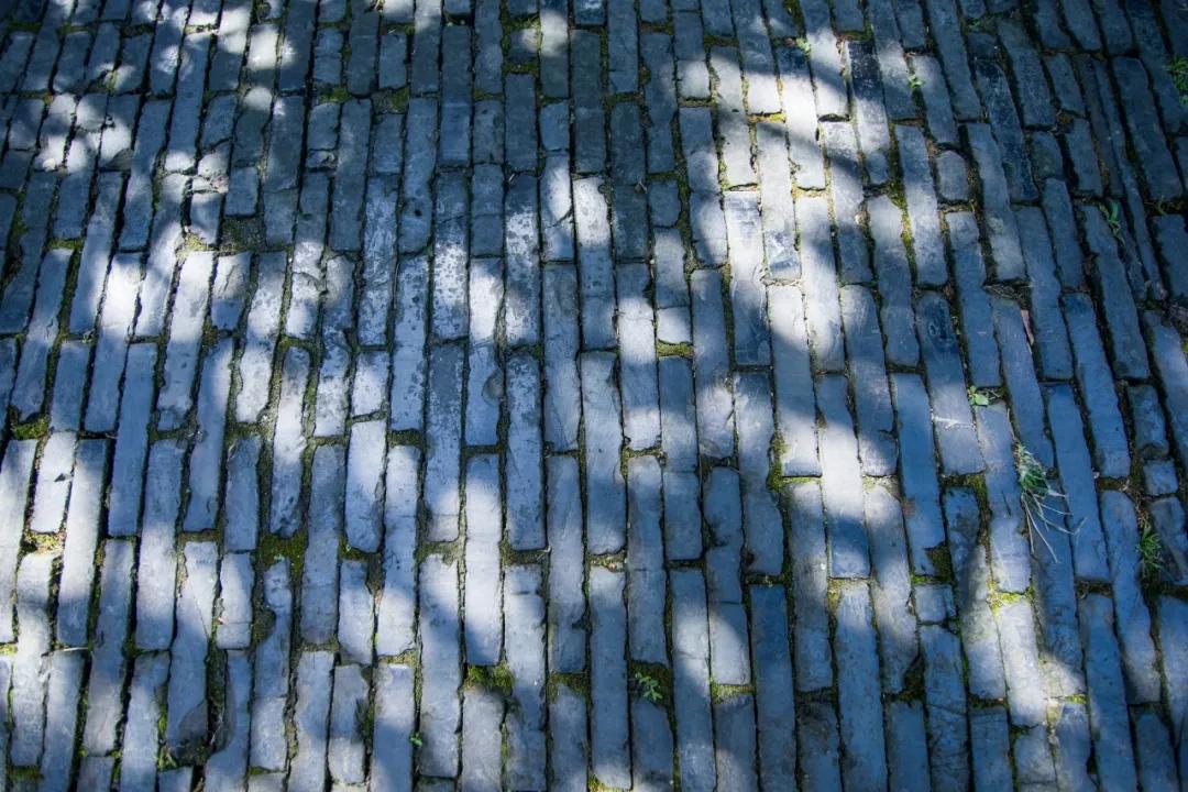 十二句最哲理诗词,十首人生哲理的诗词