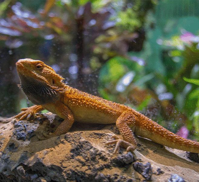 虹口夏夜好去处,虹口避暑耍水时间