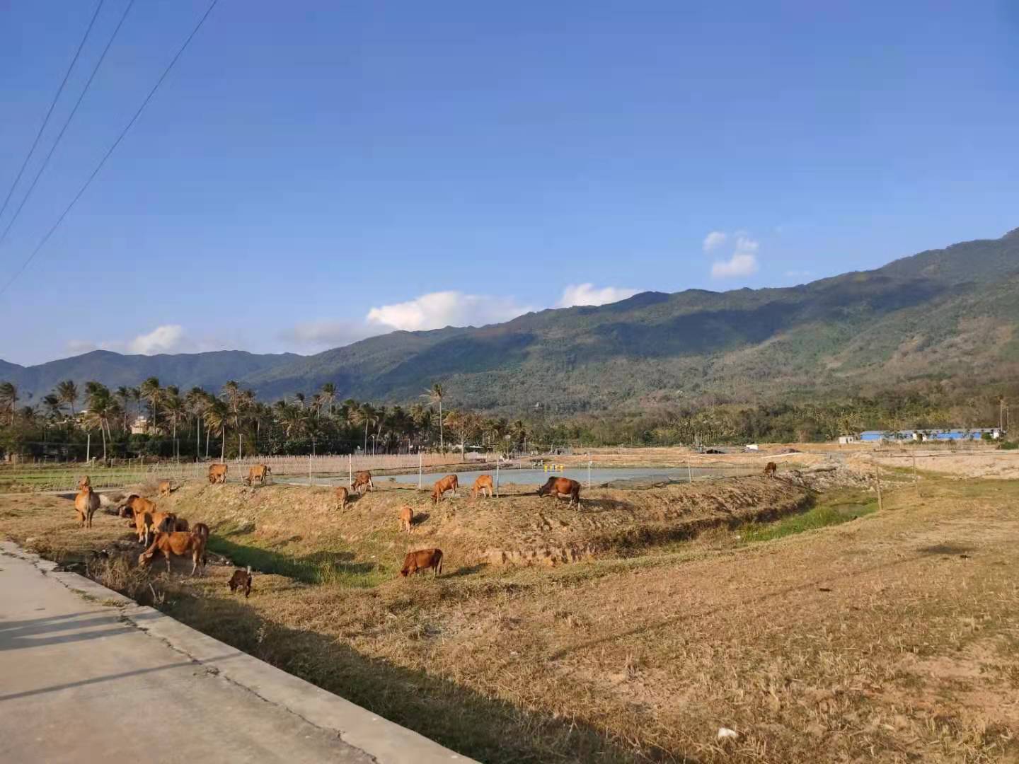 过年吃胖了怎么办？管住嘴+迈开腿，*管双**齐下！