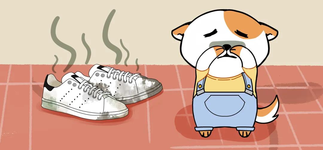 白色帆布鞋洗后怎么晒不变白,白色帆布鞋洗不干净用什么方法