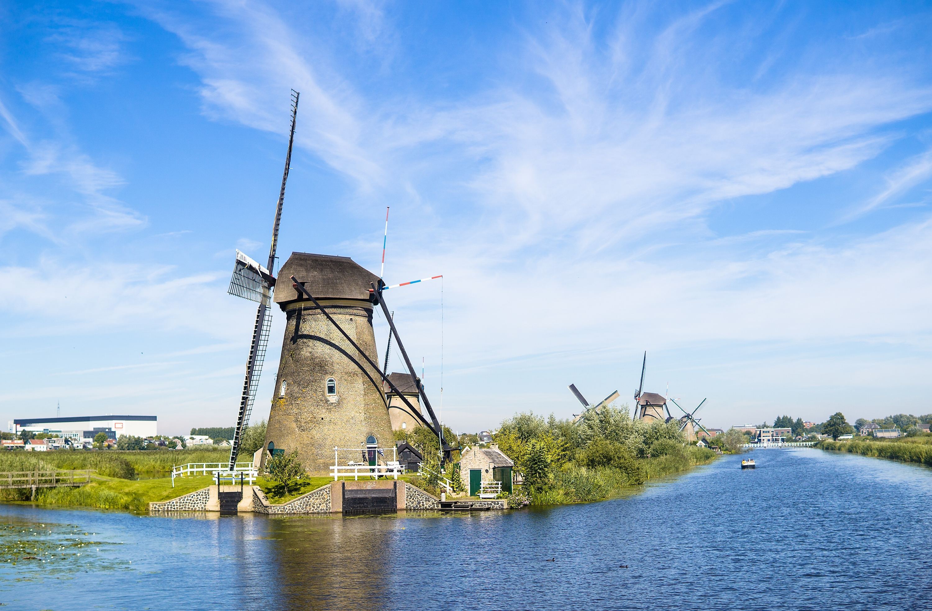 世界花都荷兰，究竟有多爱花？一朵郁金香抵十年工资