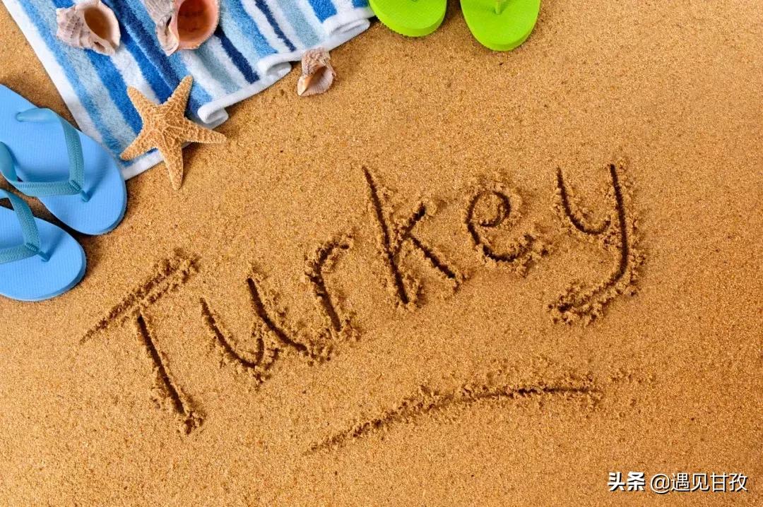 80个关于旅行的冷知识,80个冷知识视频大全