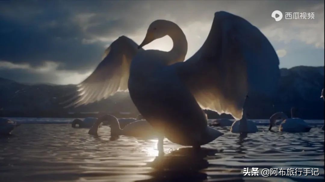 豆瓣9.1分看哭百万人,豆瓣评分9.0却很少有人看懂