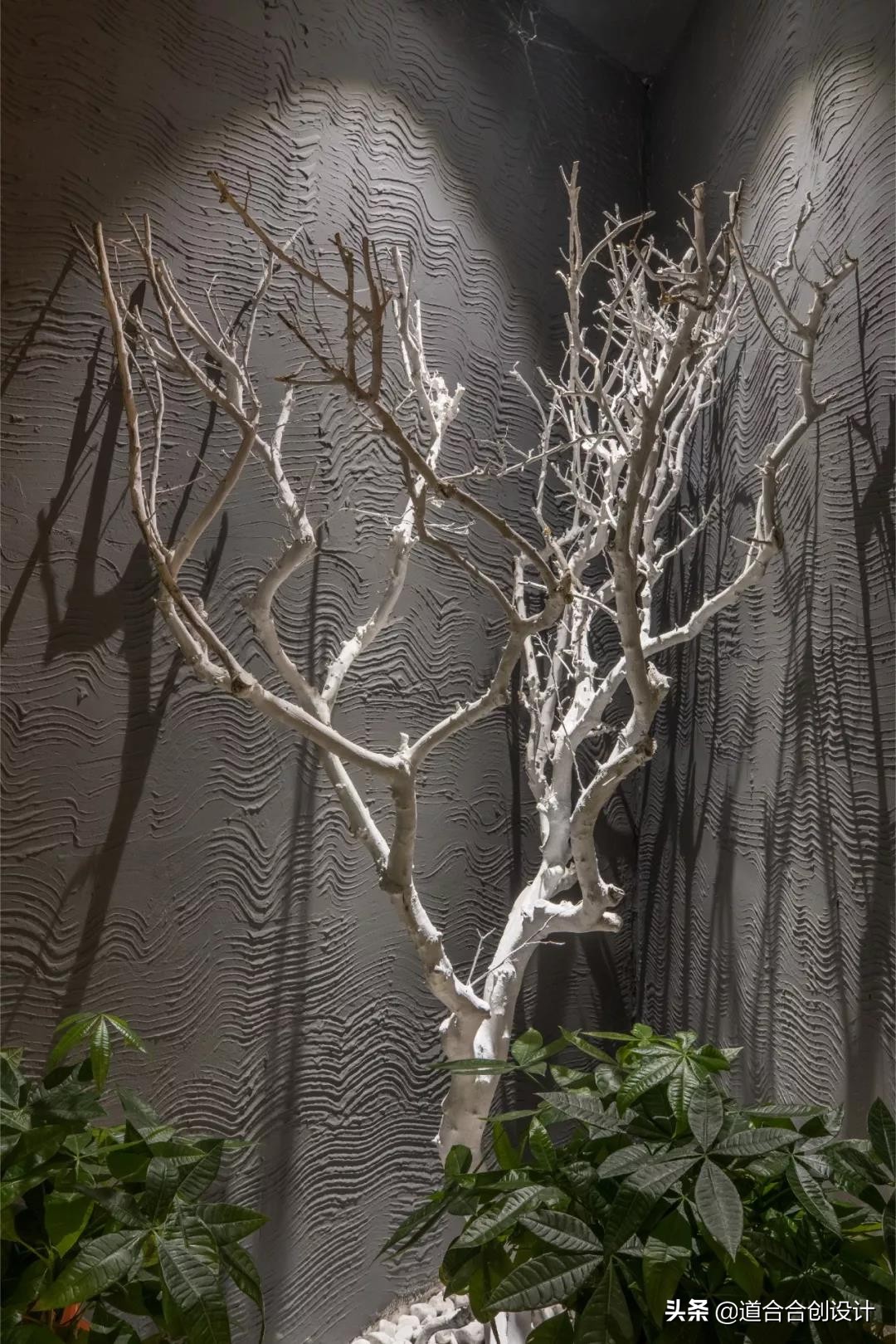 道合原创设计,道合原创装饰设计