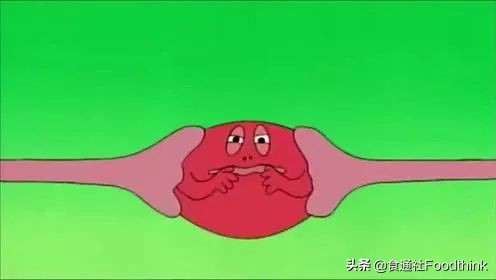 想在自家楼顶种菜,想在阳台种菜用什么花盆好