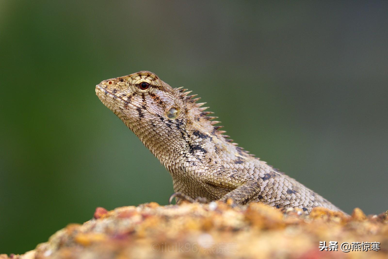 宾得理光镜头通用吗,宾得理光手动镜头推荐