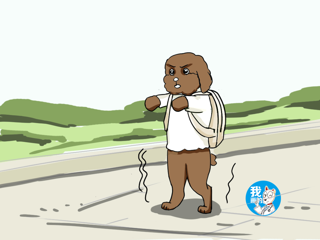 狗狗髌骨脱位怎么分辨是暴力所致,狗髌骨脱位表现柴犬