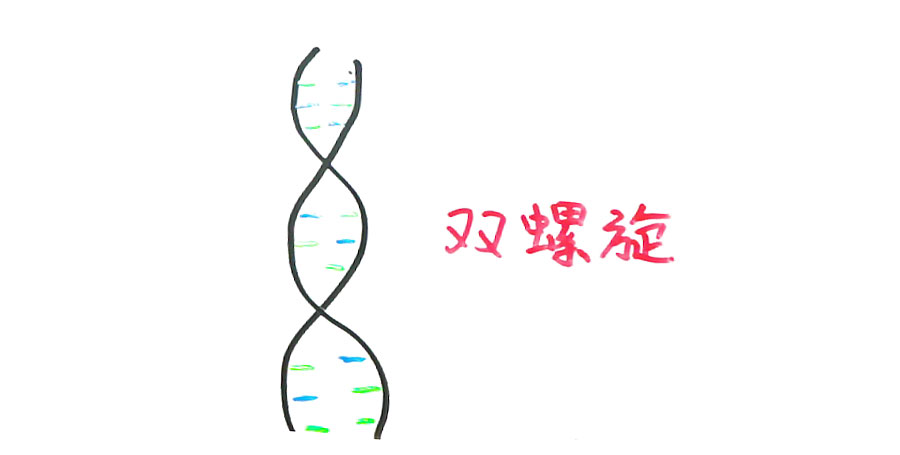 如果基因被破解会有什么后果,人类基因被破解的危害