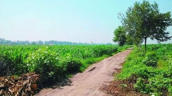 老婆跟别人私奔了怎么办,老婆和别人私奔怎么挽回