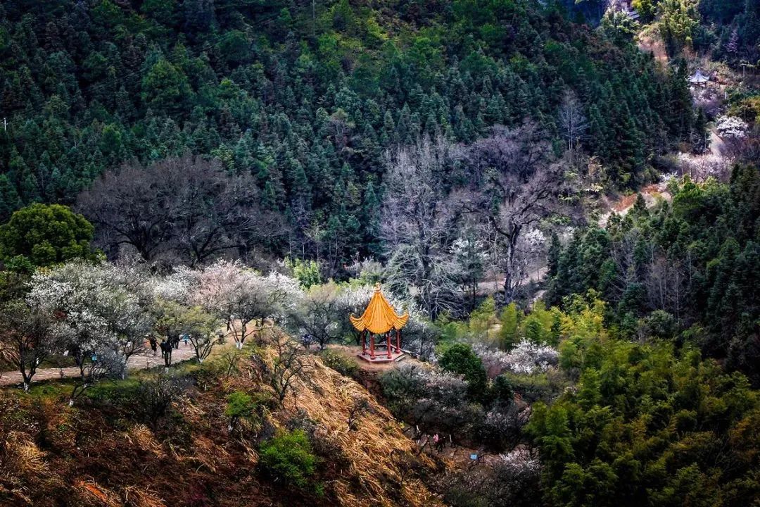 逐梦韶关:粤北这方山水,如此多情!怎可不来?