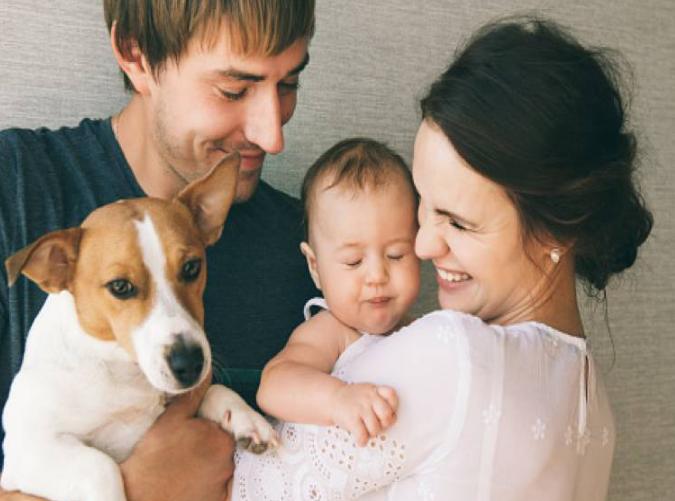 孕妇远离猫狗的原因,孕妇和孕妇之间的矛盾