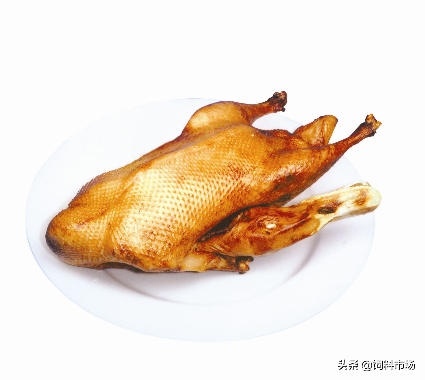 麻鸭肉质紧实鲜嫩美味,细长脖子麻鸭