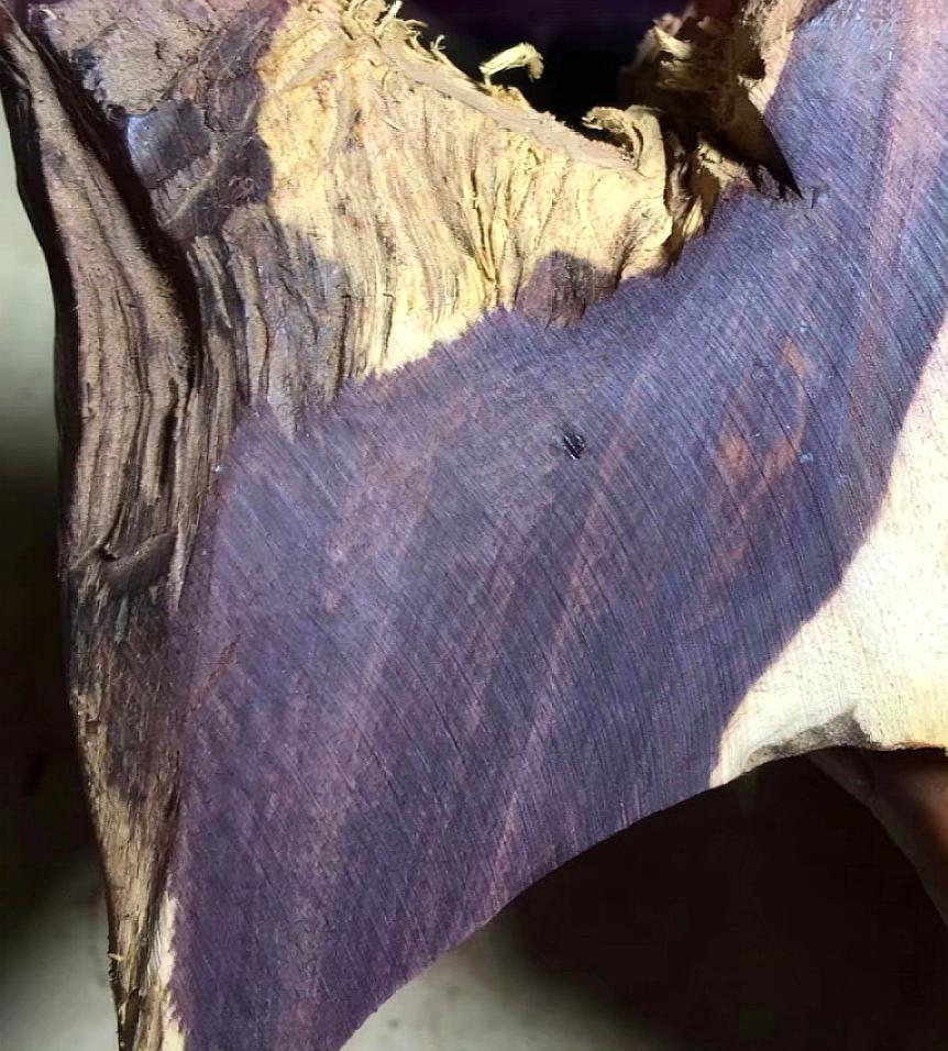 海南黄花梨与降香黄檀的区别,降香黄檀与海南黄花梨的区别