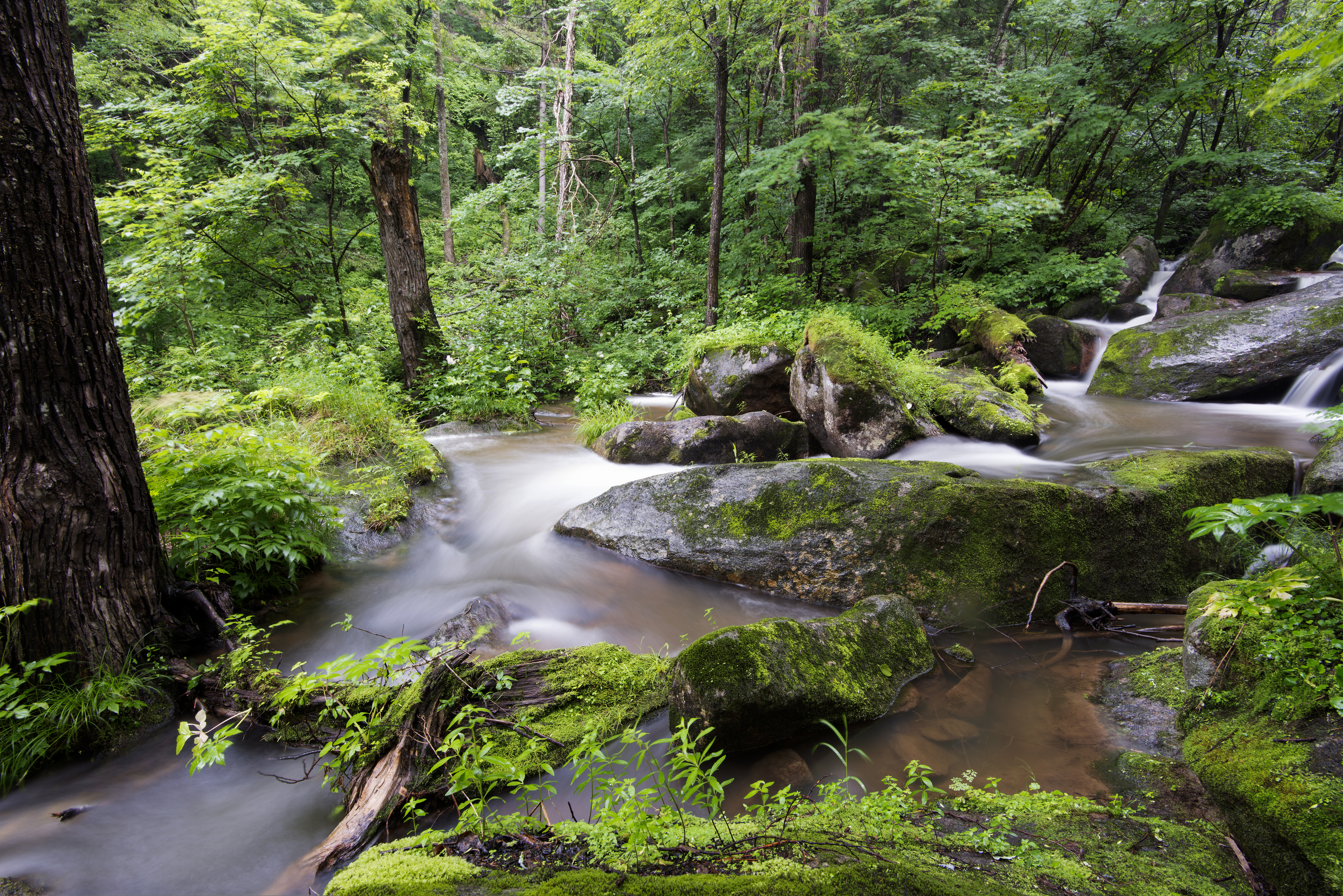 康熙一生巡访几次,康熙帝三次亲征的路线