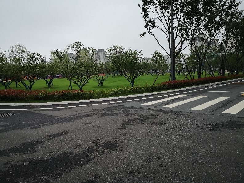 不一样的宜宾四中,一样的学校不一样的人生