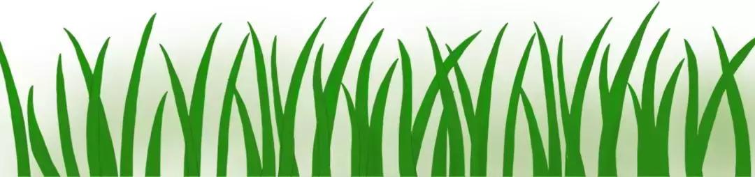 硬核篮球比赛,硬核格斗赛事