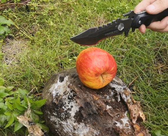 小米有品800多品质能抢到茅台吗,小米有品5.1杜比