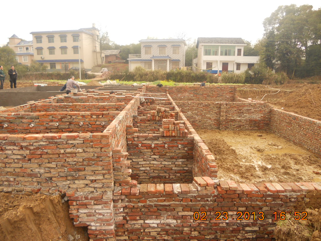 湖南最好的锦鲤养殖基地,湘潭锦鲤养殖