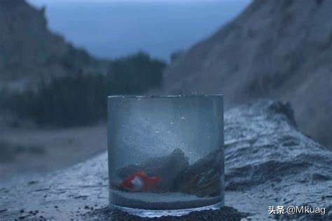 vincestaples鑸炶箞,vincestaples涓撹緫