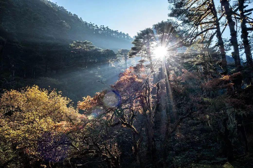 世界公认的步道 (全球最难走的步道)