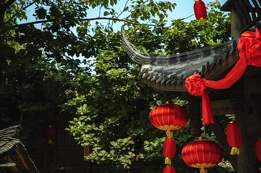 又是人间四月天踏青赏花正当时,正是人间芳菲时