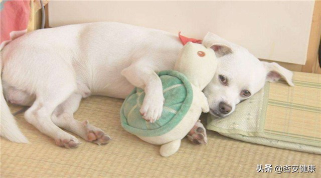 九个月宝宝发完烧浑身出现湿疹,宝爸身上烟味重会影响宝宝吗