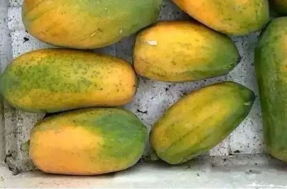 广东广州秋天正确的打开方式,广州花都夏天的好去处