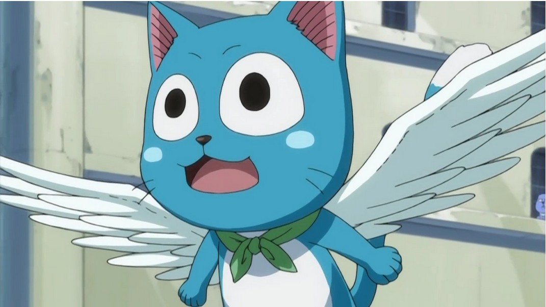 三只萌宠你们喜欢哪只,萌宠大合集你最喜欢哪一只