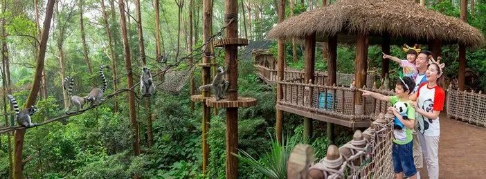 长隆野生动物世界暑假攻略,广州长隆野生动物园亲子一日游攻略