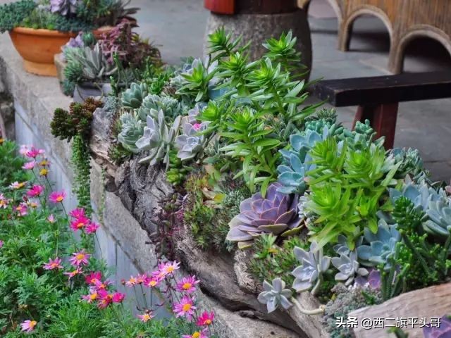 中国最美尼姑庵图片,全中国最美的尼姑庵